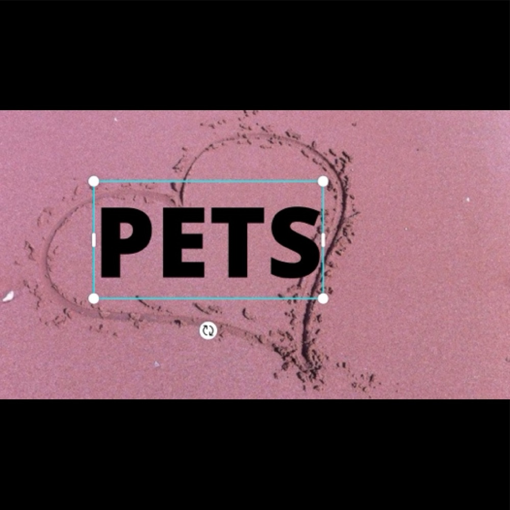 Pet sign